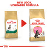 Royal Canin - Maine Coon - Kitten