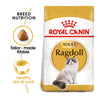 Royal Canin Ragdoll Cat