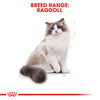 Royal Canin Ragdoll Cat