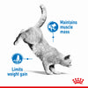Royal Canin - Cat - Light Weight Care
