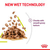 Royal Canin Cat Pouch - Sensory Smell