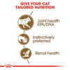 Royal Canin Cat Pouch - Ageing 12+ in Gravy