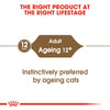 Royal Canin Cat Pouch - Ageing 12+ in Gravy