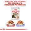 Royal Canin Cat Pouch - Ageing 12+ in Gravy