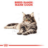 Royal Canin Cat Pouch - Maine Coon
