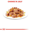 Royal Canin Cat Pouch - Sterilised in Jelly