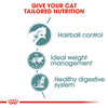 Royal Canin Cat Pouch - Hairball Care in Gravy