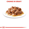 Royal Canin Cat Pouch - Urinary Care