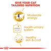 Royal Canin Cat Pouch - British Shorthair