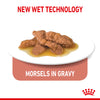 Royal Canin Cat Pouch - Indoor Sterilised in Gravy