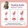 Burgess SupaCat Adult Cat Scottish Salmon