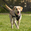 Halti - No Pull Harness