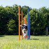 Agility Weave Poles 12 115cm High