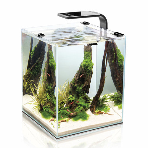 Aquael Shrimp Set Smart Black 30l Petstop