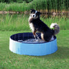 Dog Swimming Pool