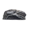 Marina Decorative Fossil Pterodactyl