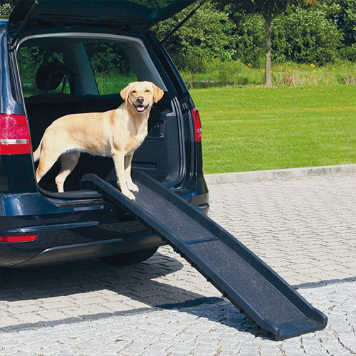 Pet Ramp for Dogs Petstop - Main Image