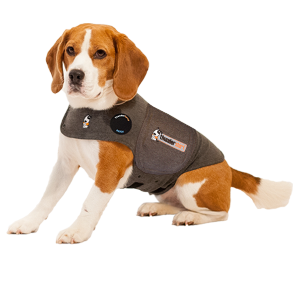 Thunder Shirt Anxiety wrap Petstop