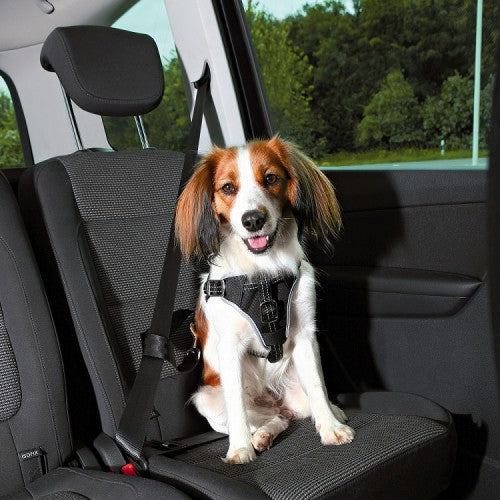 Dog Protect Car Harness Petstop