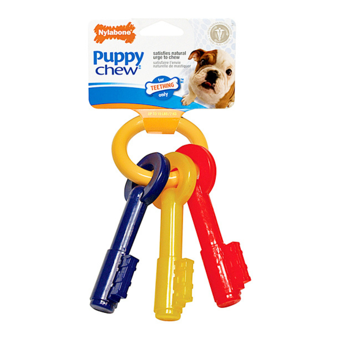 Nylabone soft chew sales
