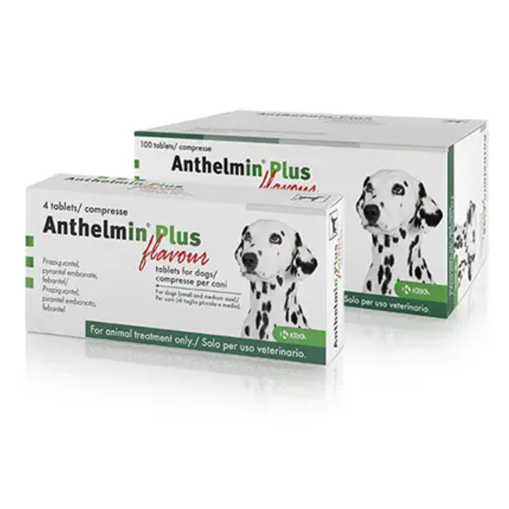 Worm medicine for large dogs discount