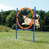 Activity Agility Ring