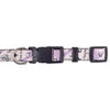 Small Bite Purple and Black Collar
