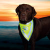 Trixie Safety Neckerchief