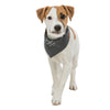 Trixie Be Nordic - Dog Bandana - Grey
