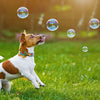 Trixie Dog Bubbles - Bacon