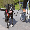 Biker Set For Large Dogs