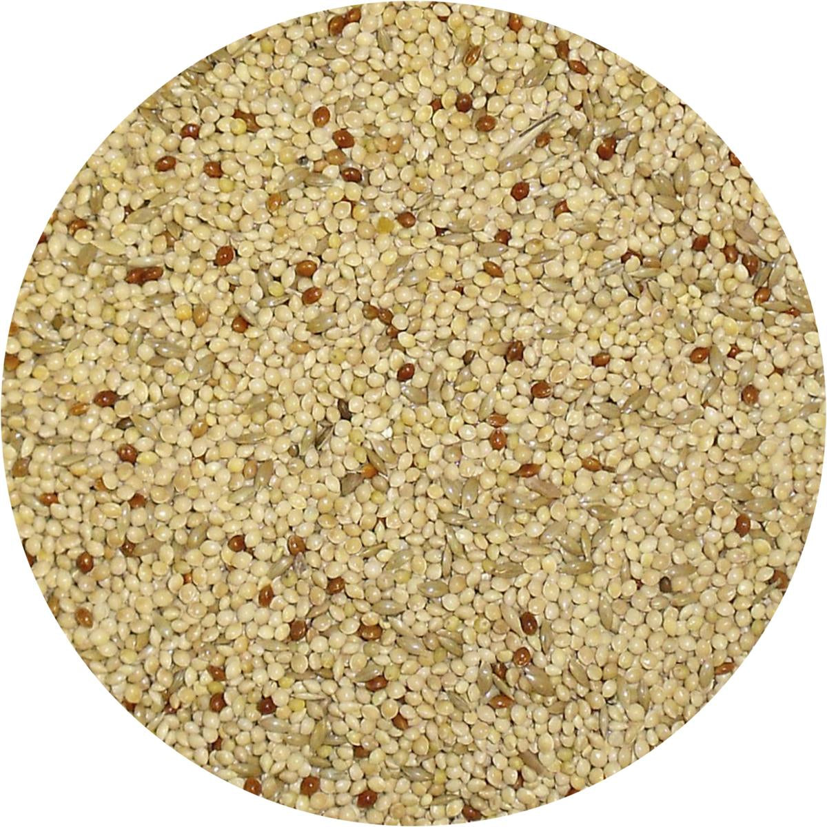 Budgie Seed Mix - Petstop - Budgie Seed Mix And Pet Owners