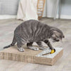 Scratching Cardboard With Toy Balls