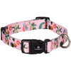 dog-collar-sera-flamingo