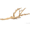 Exo Terra Forest Branch Medium 45cm