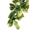 Exo Terra Mandarin Shrub Medium