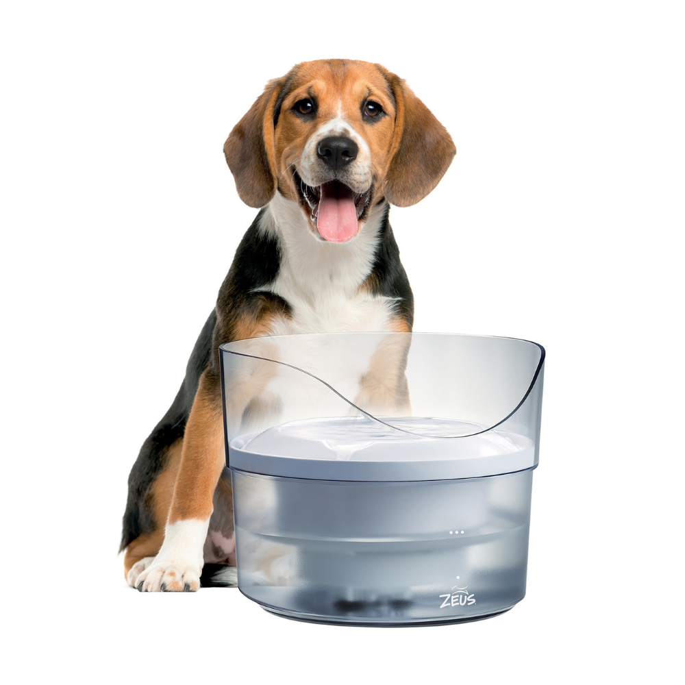 Zeus Drinking Fountain Fresh Clear with Splash Guard Petstop
