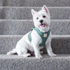 FuzzYard Cotton Step in Dog Harness - Myrtle Green