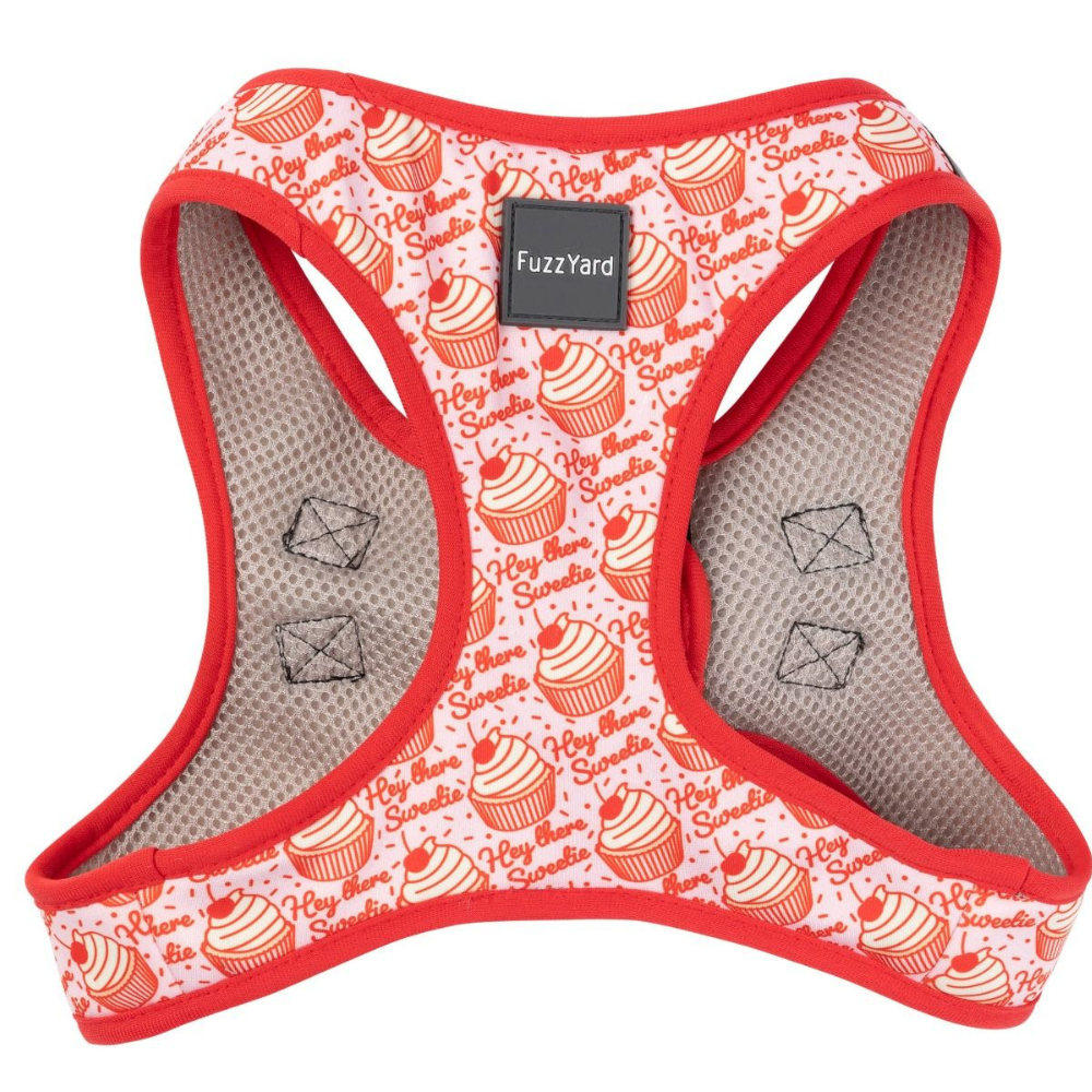FuzzYard Step in Dog Harness Hey There Sweetie Petstop
