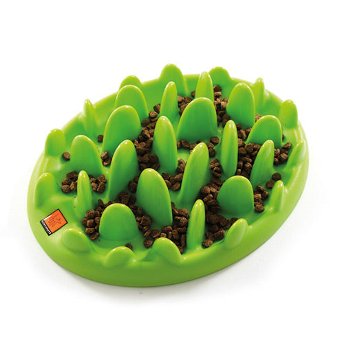 Green Slow Dog Feeder Petstop