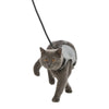 Cat Soft Harness with Leash Medium
