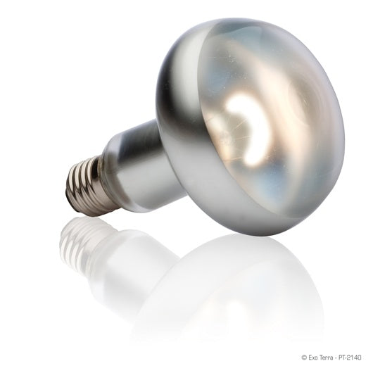 Intense Basking Spot 150w Petstop