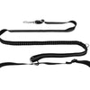 Trixie Jogging Belt with Lead