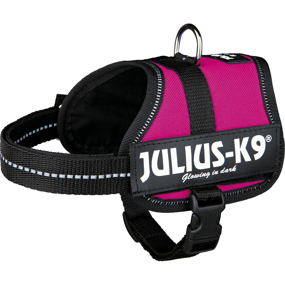 Julius-K9 Power Harness Pink Petstop
