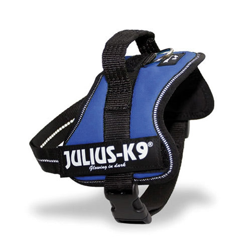 Julius-K9 Power Harness Blue Petstop - Main Image