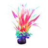 Marina iGlo Plant 5.5