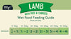 Nature Diet Feel Good Lamb 390g