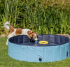 Dog Swimming Pool