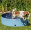 Dog Swimming Pool