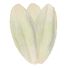 Cuttlefish Bone 200g